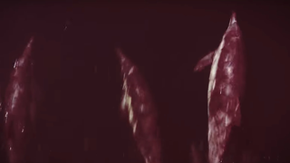 The new, insane A Perfect Circle video memorializes dead celebrities with footage of purple dolphins